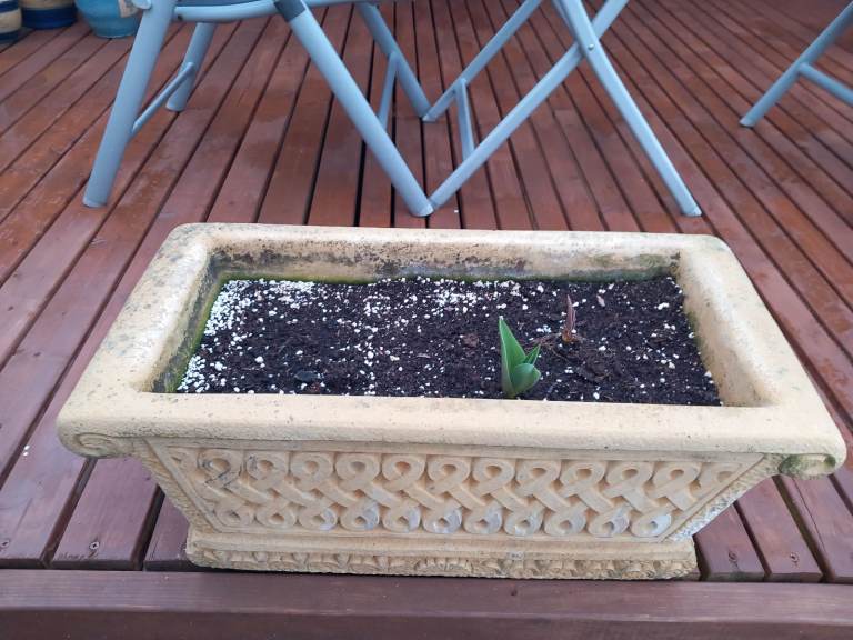 Cotswold planters for sale