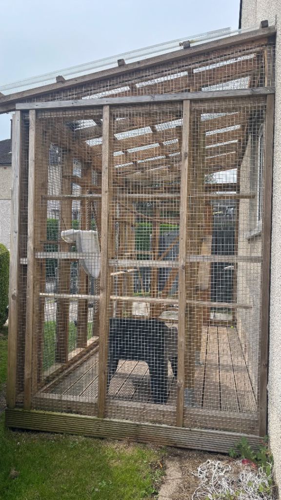 Catio (Cat Enclosure) Professionally built 2024