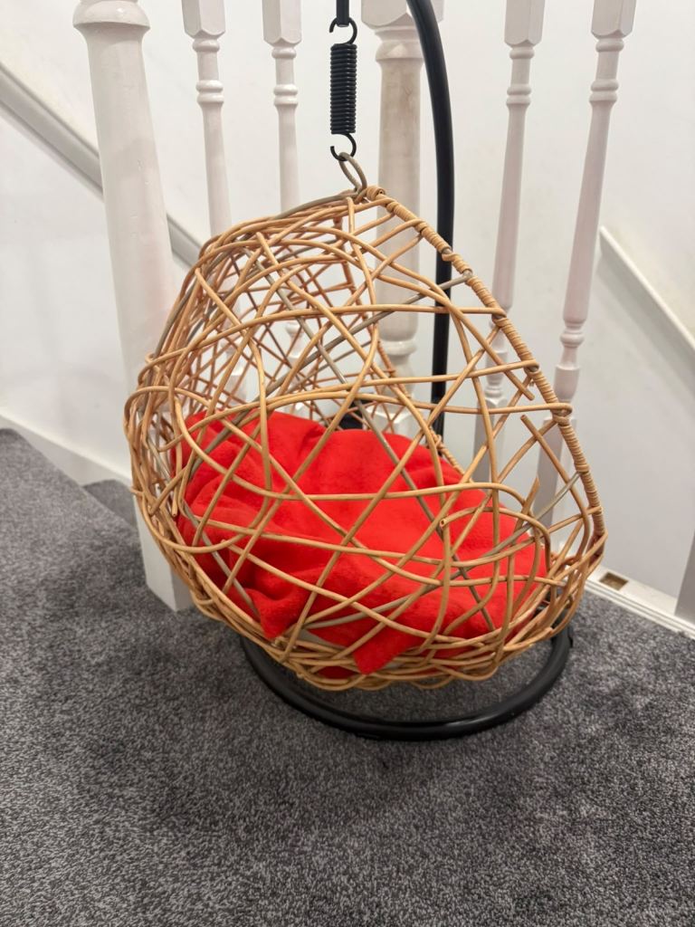 Cat Egg Bed