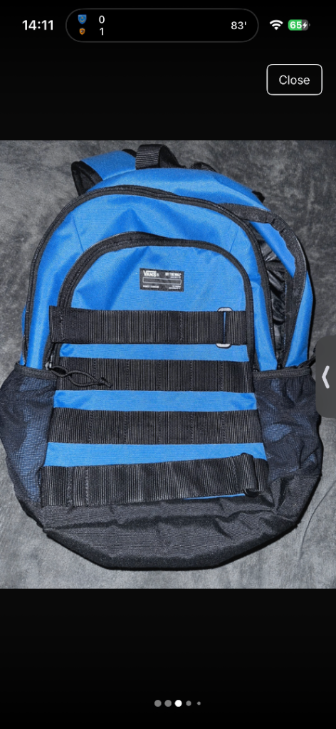 Vans off the wall skate bag
