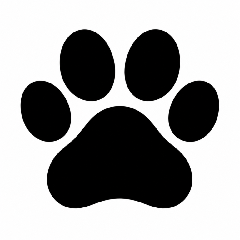 Dog Walker - Haslemere and all surrounding areas