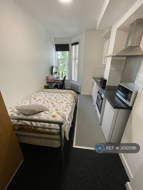 Studio flat in Regent Road, Leicester, LE1 (#3012596)