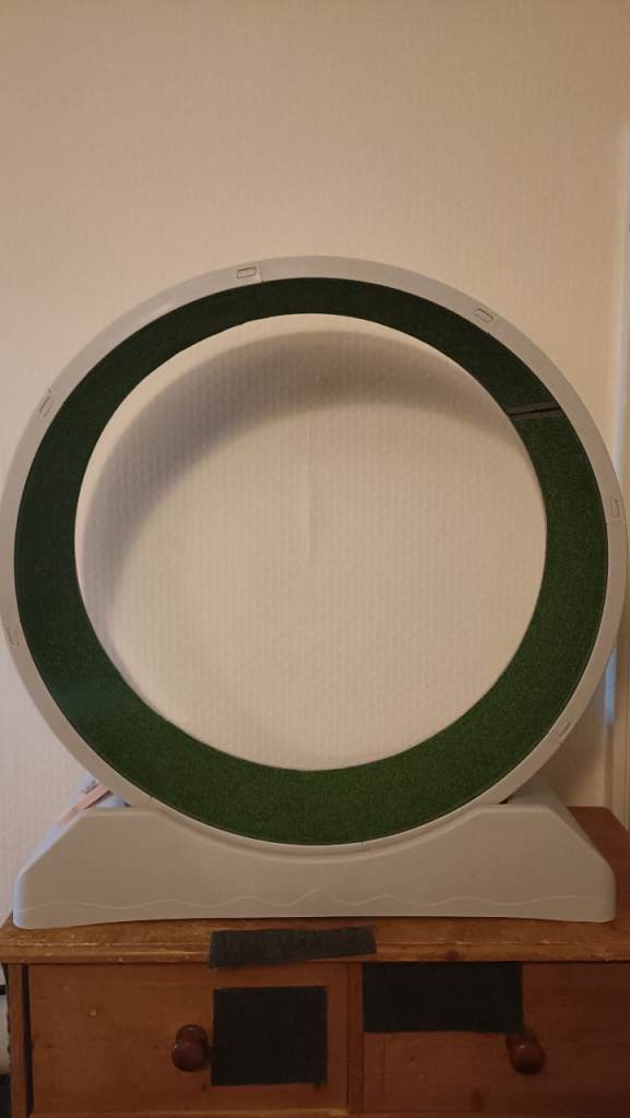 Cat exercise running wheel 