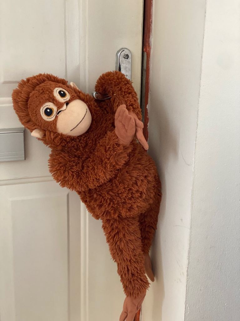 Mr monkey