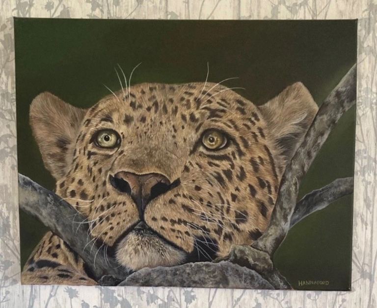 Charlotte Hannaford Leopard Oil Painting “Acceptance” Original Work. With Certification.