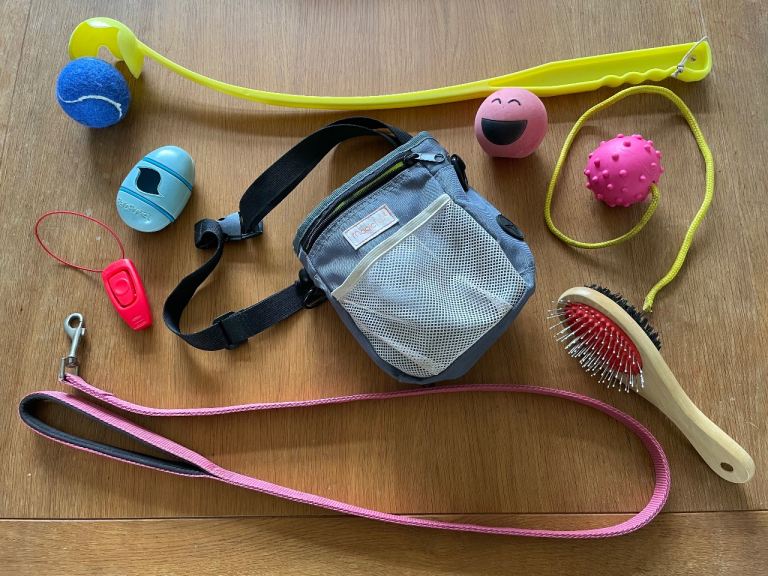 Dog accessories bundle