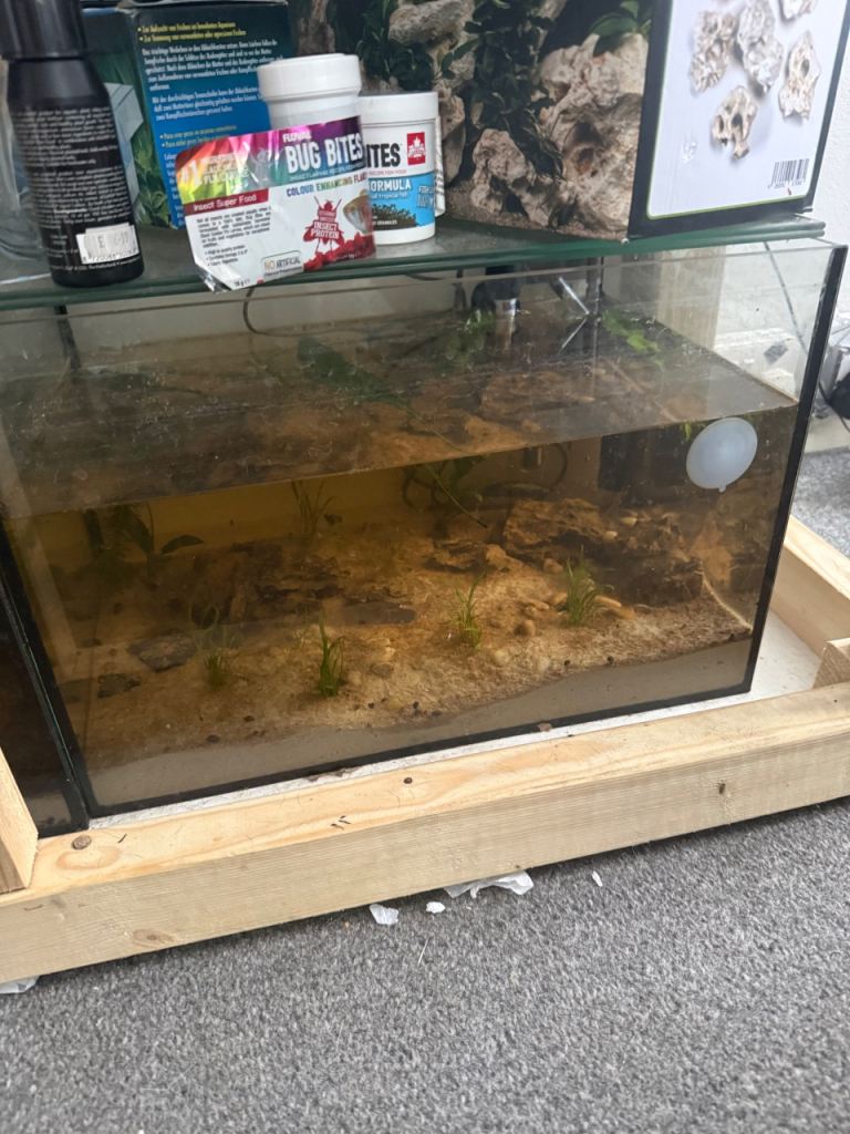 Fish tank 
