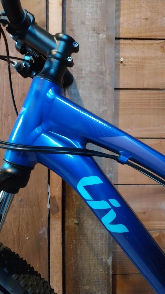 2020 Liv Bliss 3 Disc Hardtail Mountain Bike - Purple 