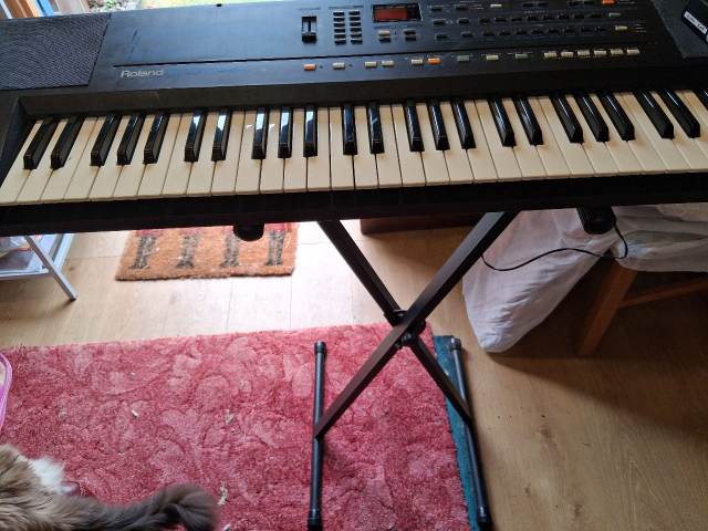 Roland E-15 Synthesizer, £55.00 for Sale in Norwich, Norfolk | Gumtree