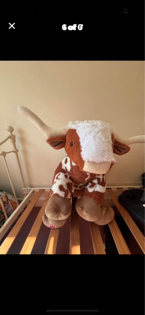 Build a bear highland cow