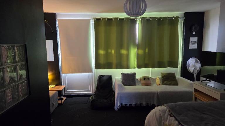 Spacious one-bed duplex apartment 