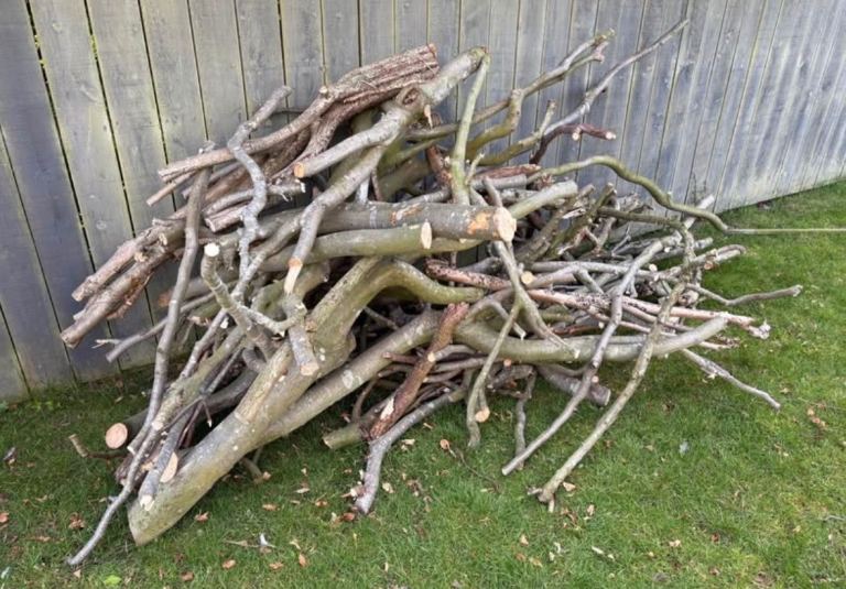 Free - fire wood / timber about trailer full