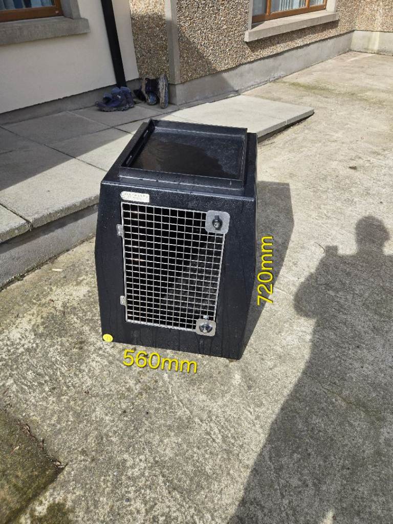 Dog Crate/box