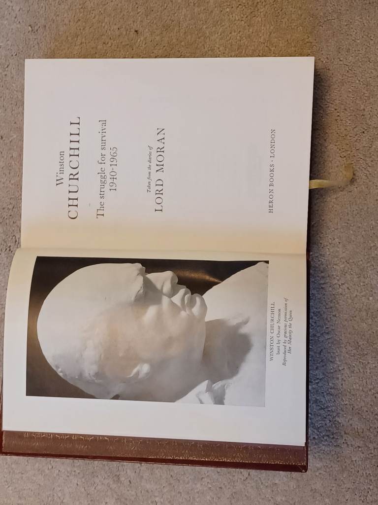 Churchill The Struggle for Survival