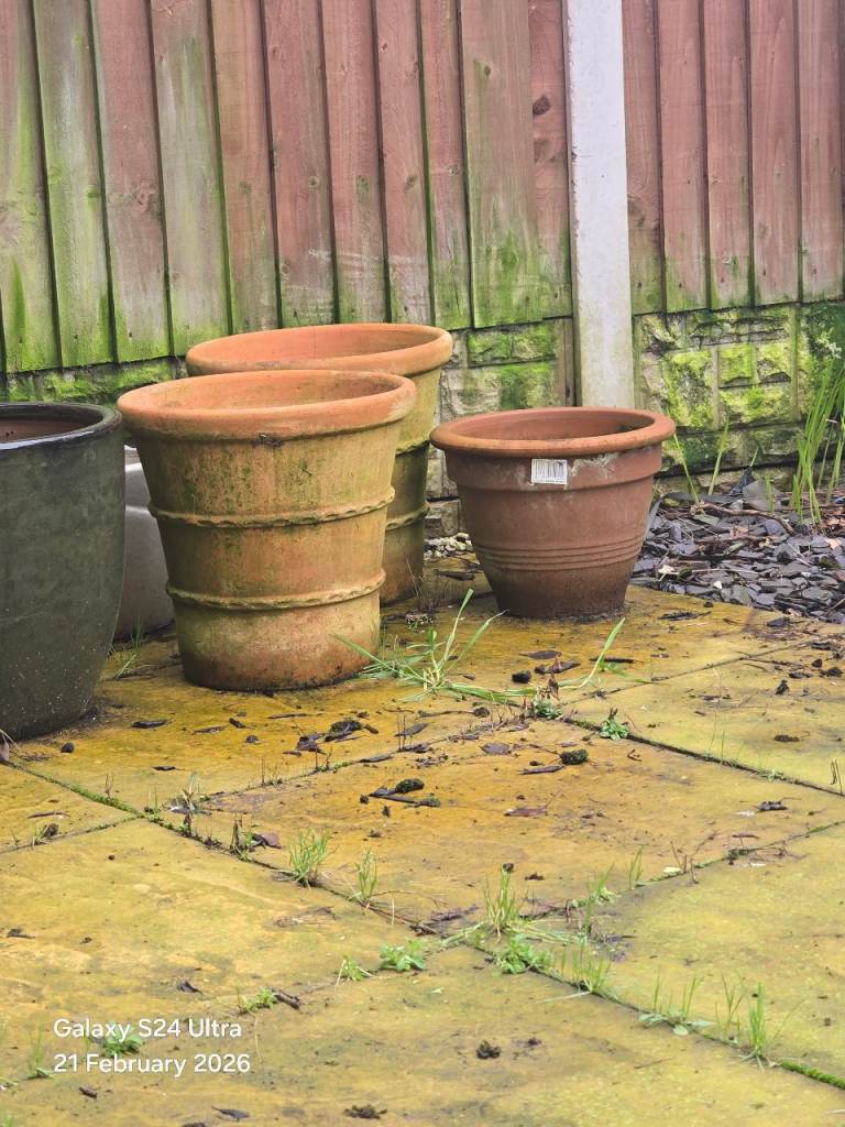 Large plant pots 