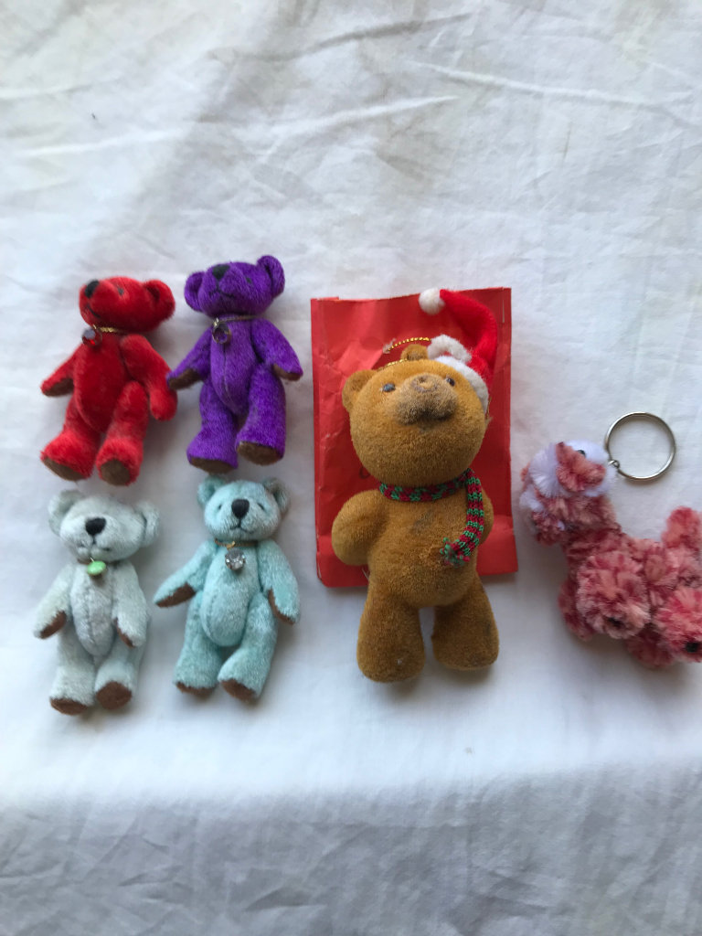 Five Tiny Teddy's + doggie key ring