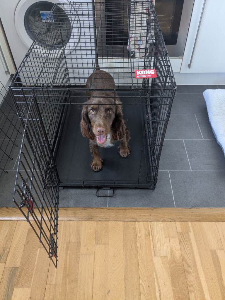 Dog crate