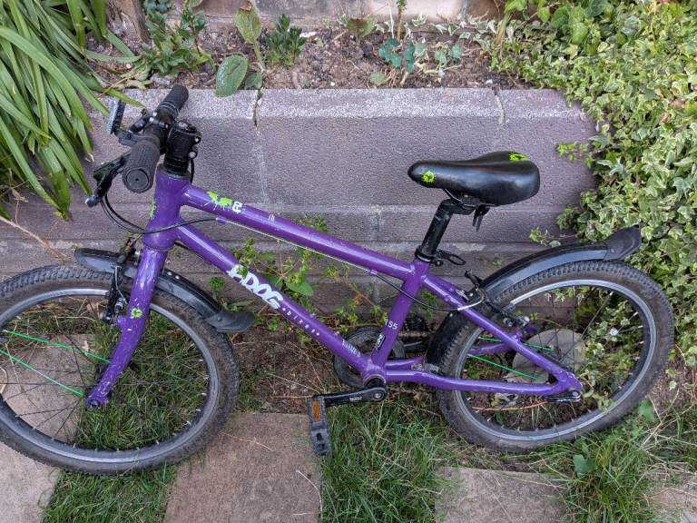 Frog 55 purple 