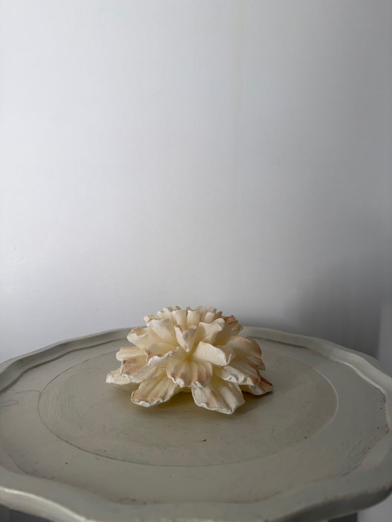 Decorative Flower candle – New