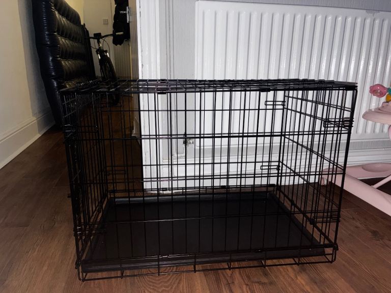 medium folding dog crate 
