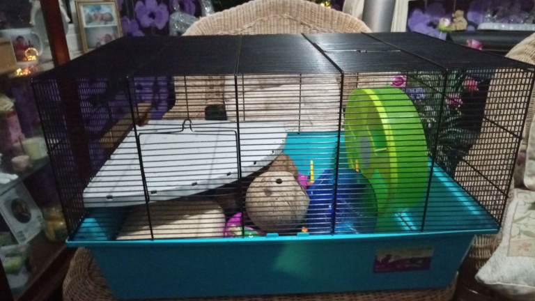 Large hamster cage, with full set up