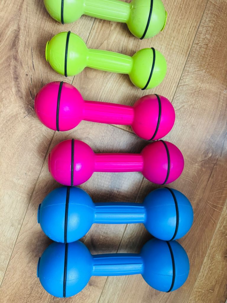 Set of 6 Colourful Plastic Dumbbells – Good Condition