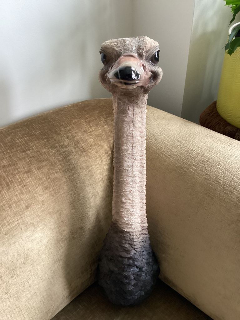 Unique Ostrich Head Figurine – Home Decor