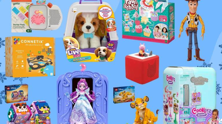 FREE UNWANTED CHRISTMAS TOYS 