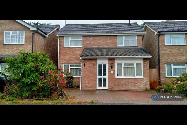 4 bedroom house in Borda Close, Chelmsford, CM1 (4 bed) (#2729914)