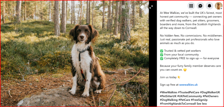 Pet owners Pet Sitters, Dog Walkers, Pet Boarding UK free sign up 1 year