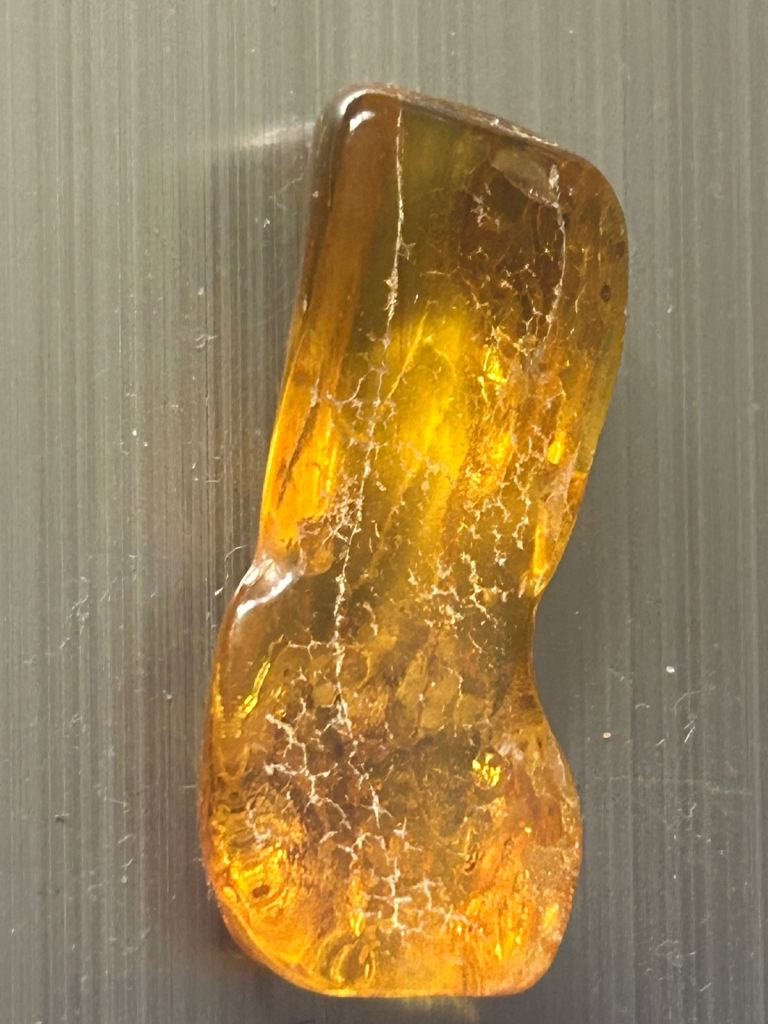 Real Baltic Amber