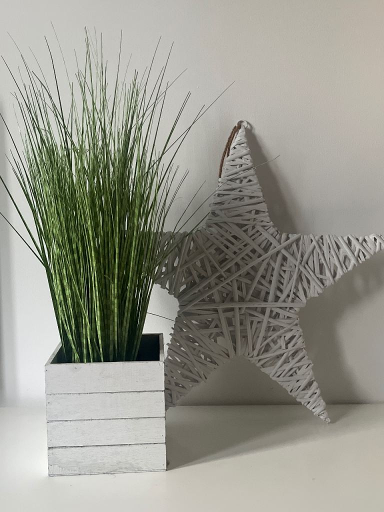 **Free **Decorative White Woven Star and Faux Grass Plant in Pot