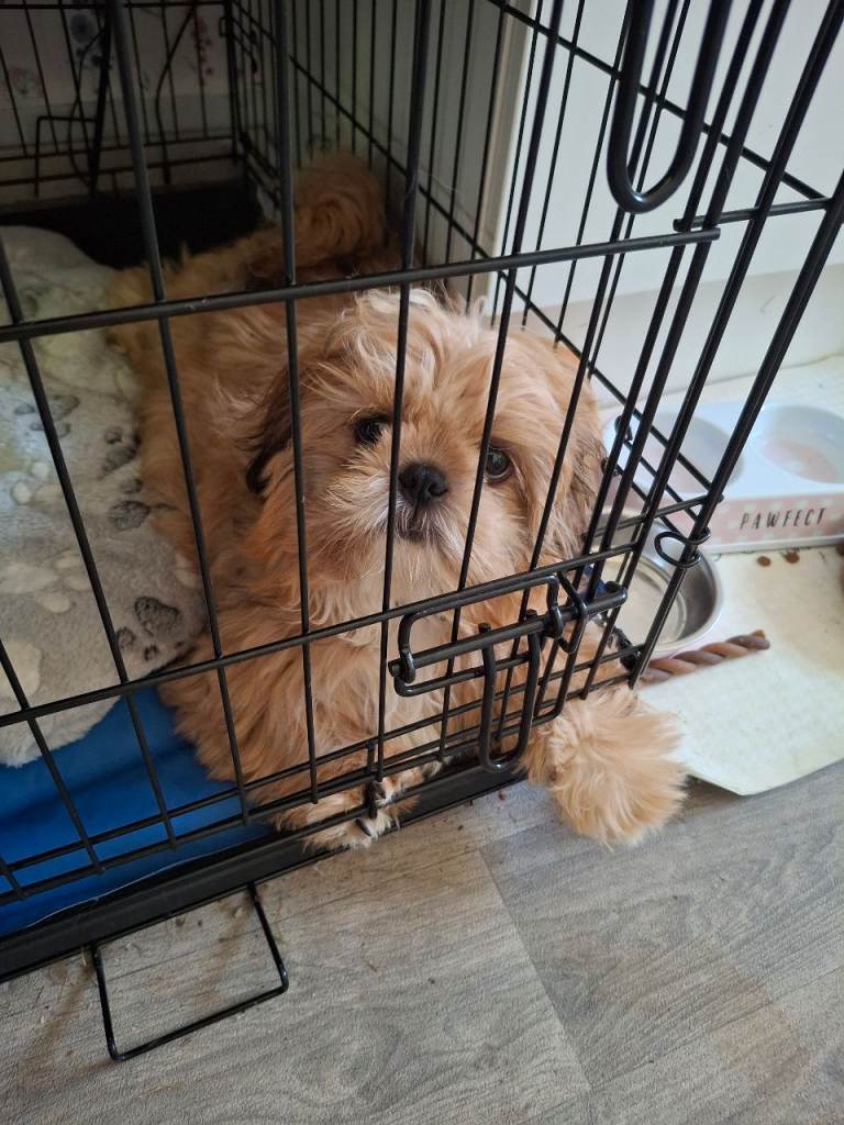 For sale 