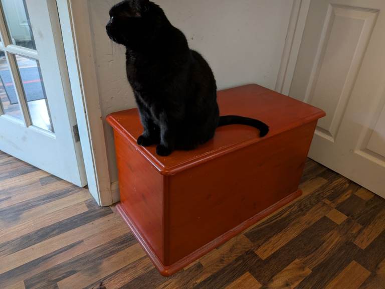 Custom Wooden Cat Litter Box Enclosure | Hidden Litter Tray Cabinet | Solid Wood