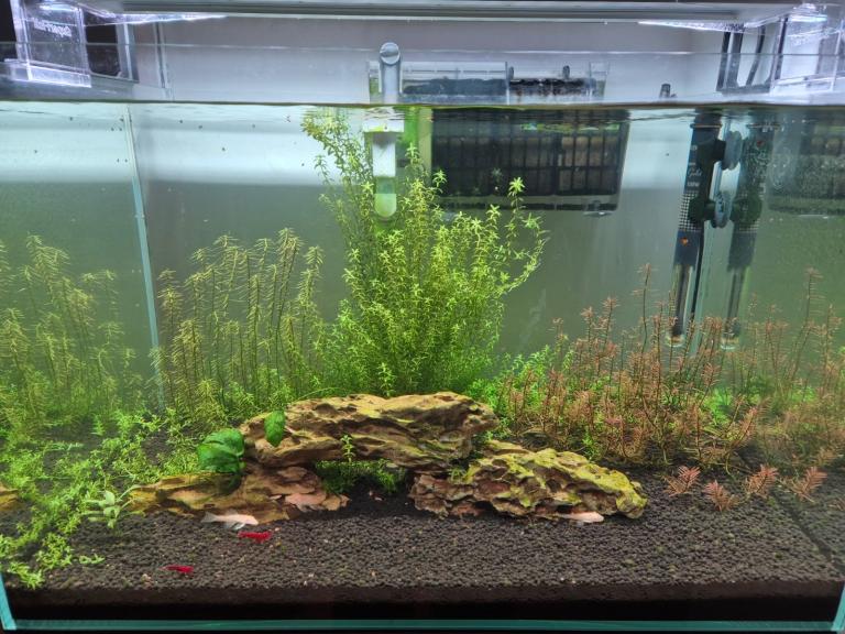 Fish tank 60x40x40 90l full set up