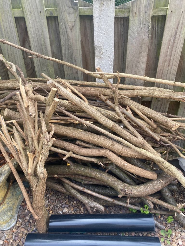 Seasoned Wood Branches - Ready for Firewood