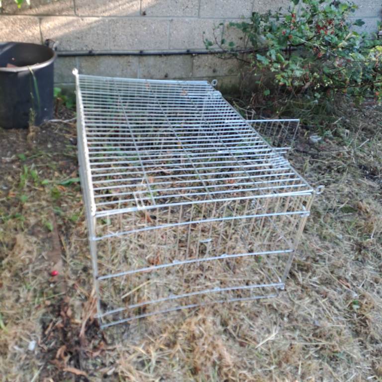 Wire pet cage