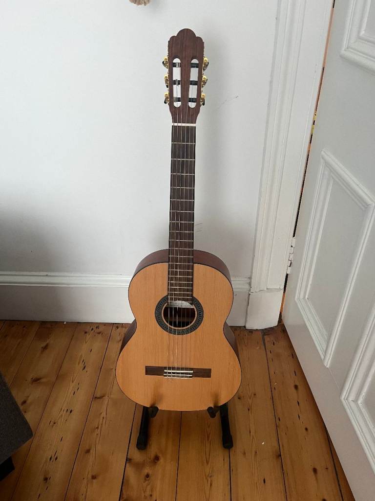 Guitar + accessories 