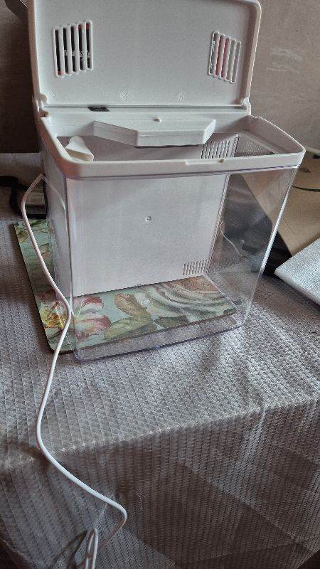 In need of a bigger fish tank 