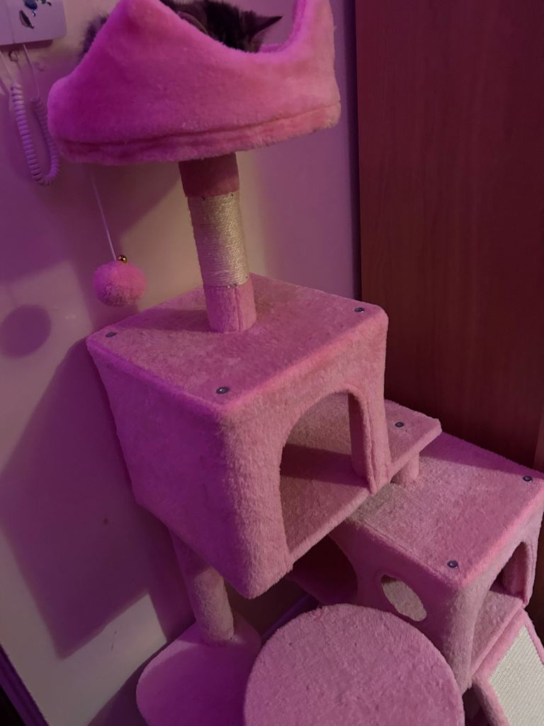 pink cat tree new