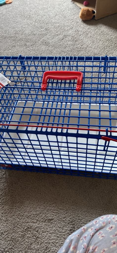 Cat carrier 