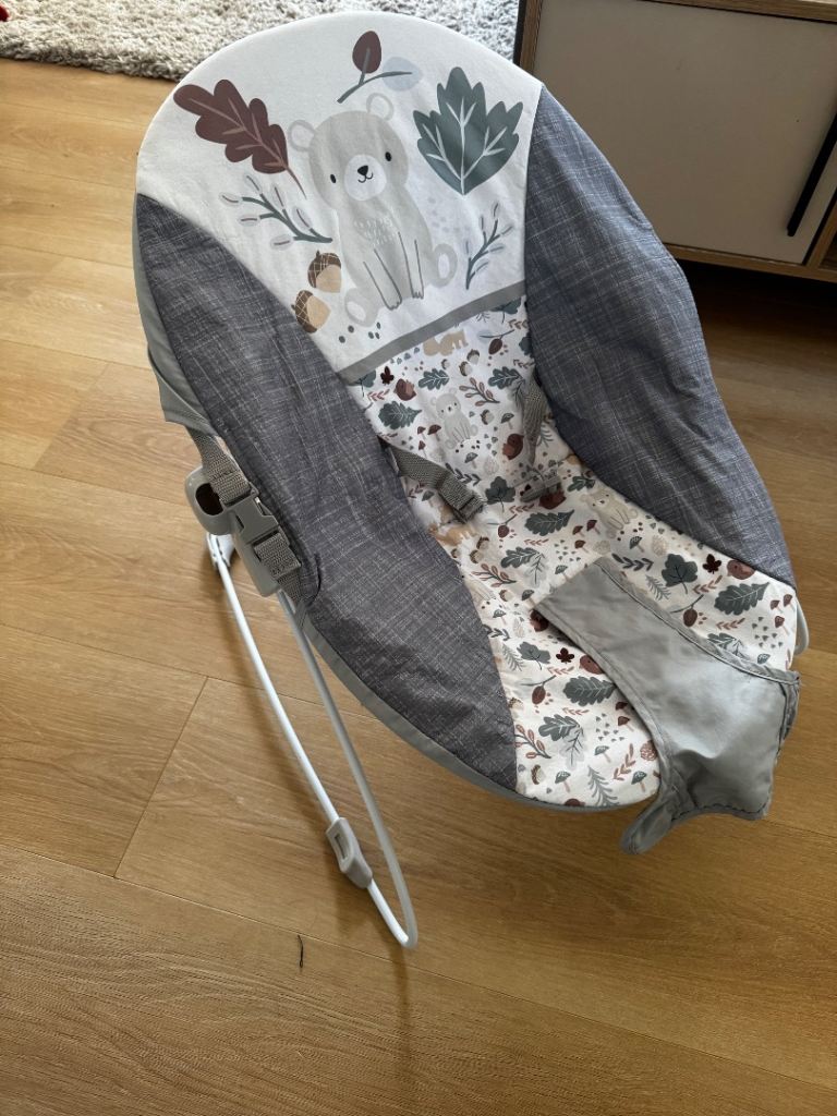 Baby Bouncer