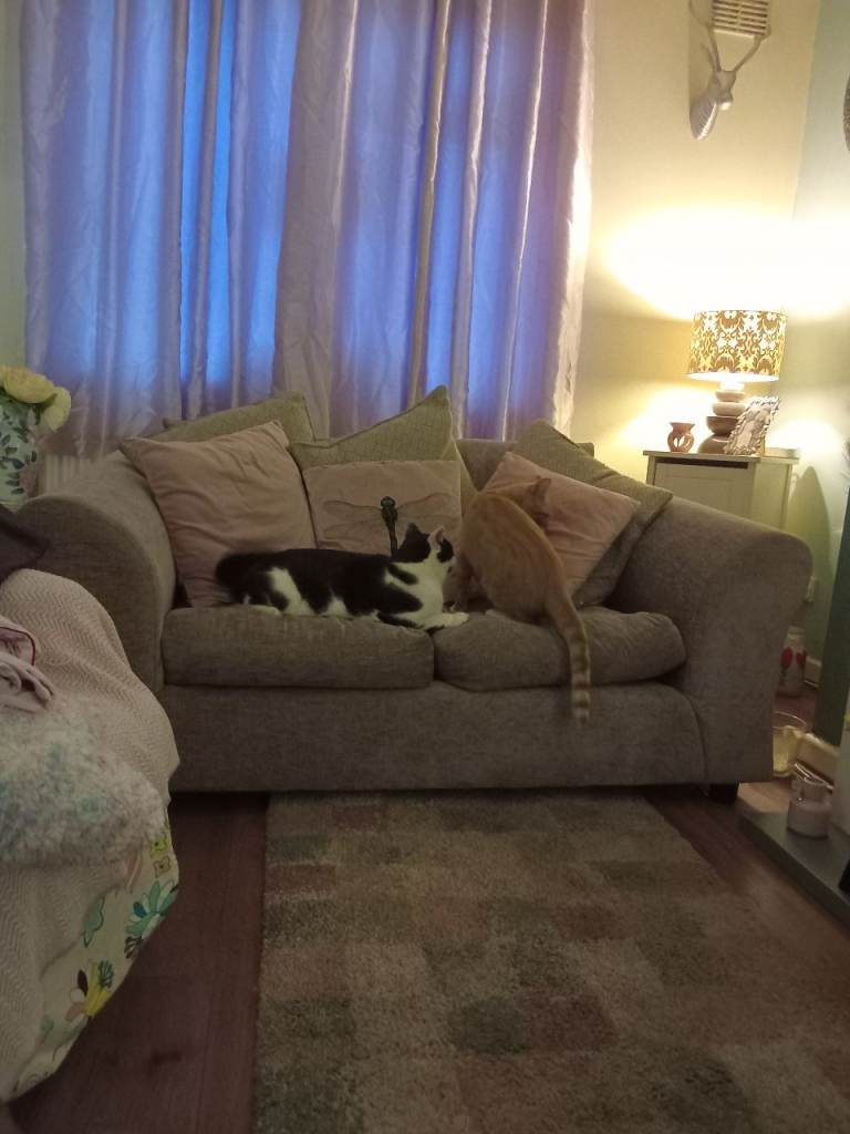 Sofabed WANTED 