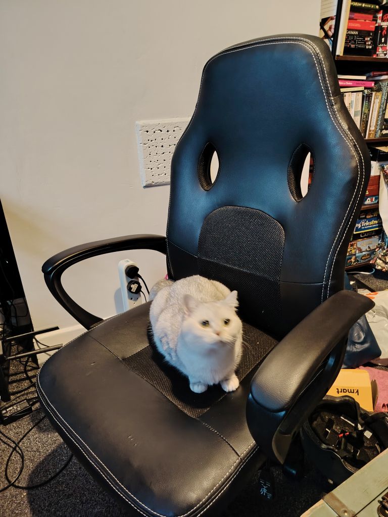 Computer chair