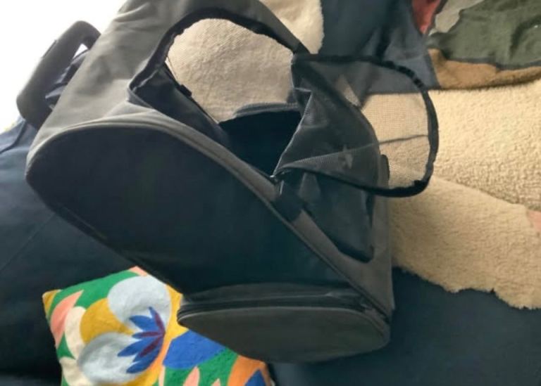 New Pet Carrier Back pack or Trolley 