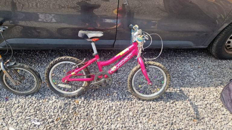 Girls Schwinn 'Elm' Bike with Basket - 16" Wheels