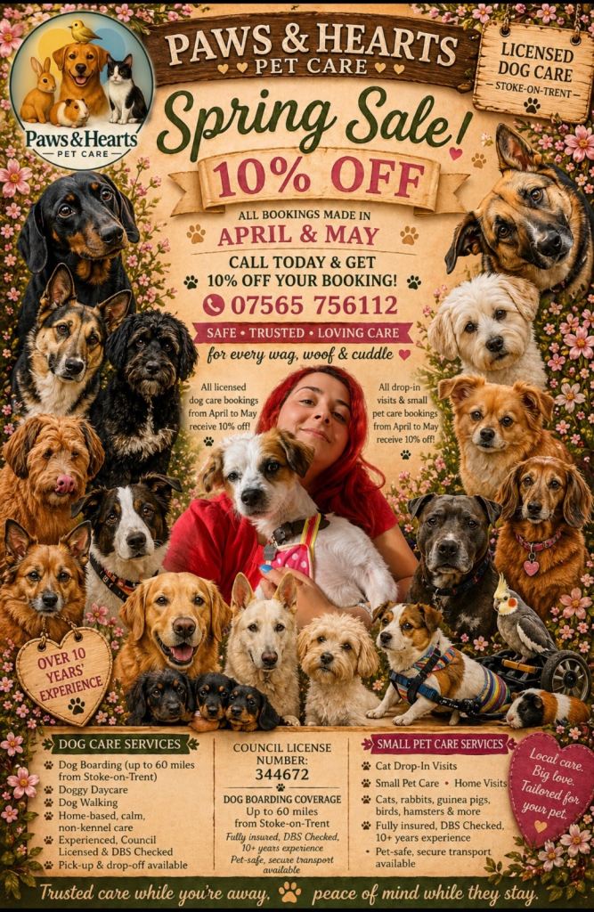 Licensed Boarding & Daycare | Dog Walking & Pet Sitter | Stoke-on-Trent