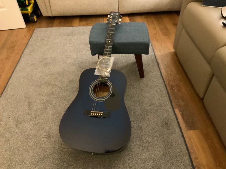Encore acoustic guitar