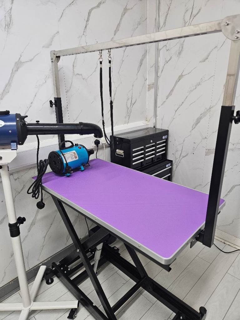 Dog grooming table and equipment