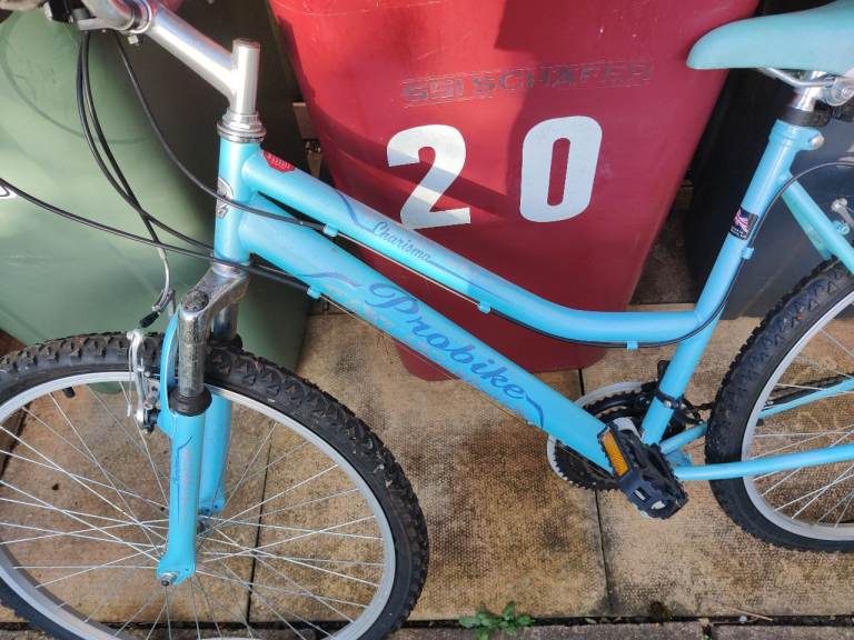 Blue womens bike 